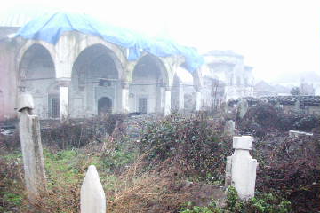 99C12003.JPG (18148 bytes)
